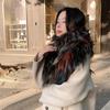 Temperament Fox Fur Scarf Hand-woven Wool Collar Warm In Autumn and Winter Plus Long Hair Fur Scarf Women
