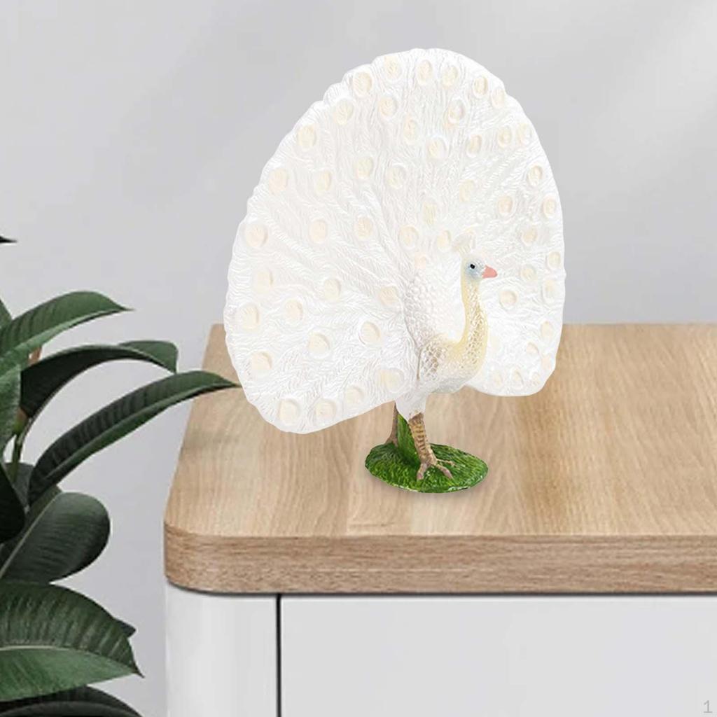 Animal Sculpture, Ornament Crafts, Kids Toy, Realistic Peacock Model, Hand Painted for Office,