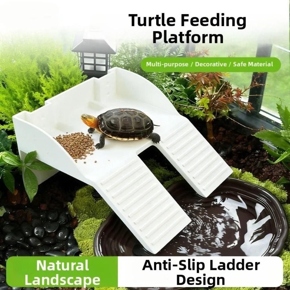 Plastic Turtle Climbing Ramp with Suction Cups Reptile Terrace Feeding Platform Aquarium Decor