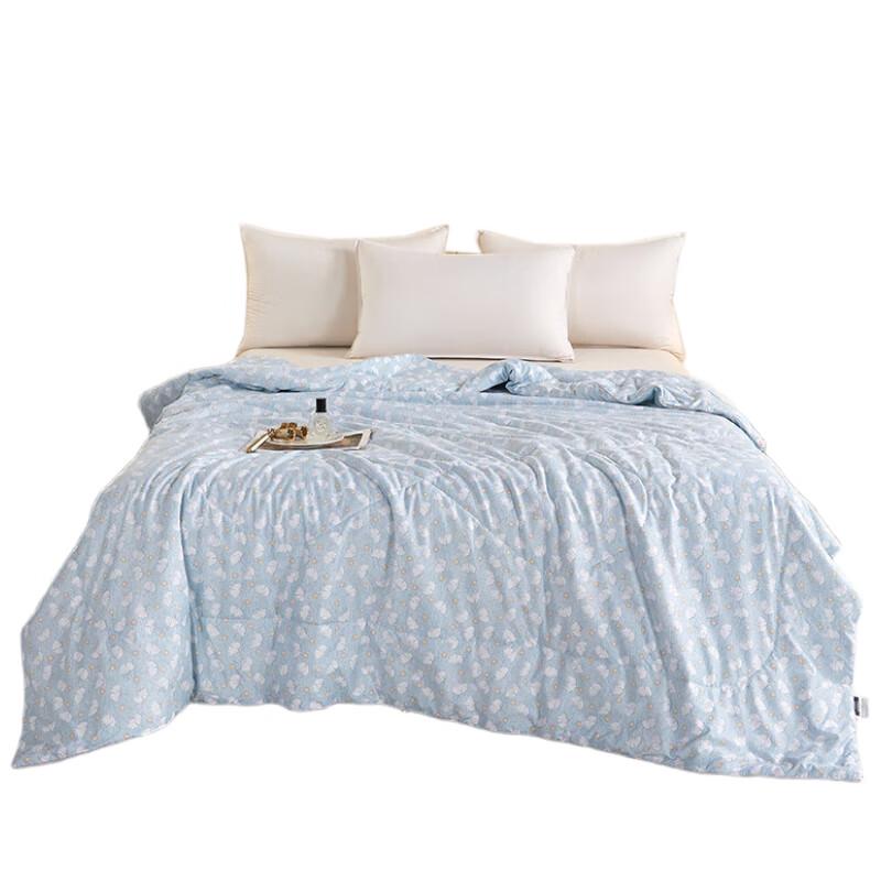 

Barmile All-Season Polyester Quilt