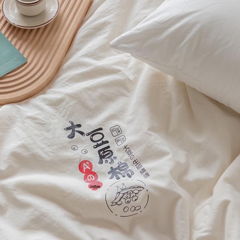 Muji Soybean Fiber Quilt with Soft Fabric