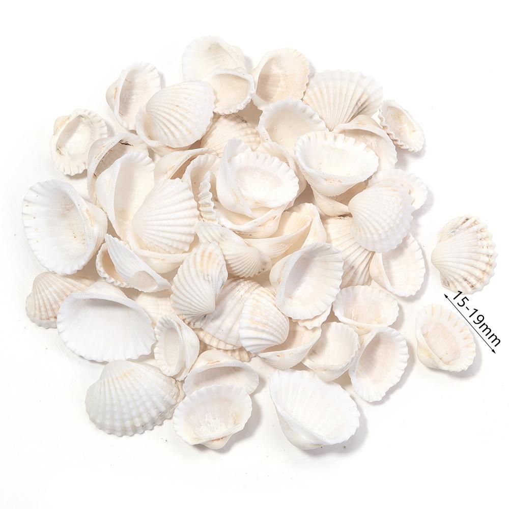 40g/bag Sea Shell Beads Tiny Conch Beads Undrilled Natural Shell Beads For Jewelry Making DIY Crafts Ornament Home Decoration