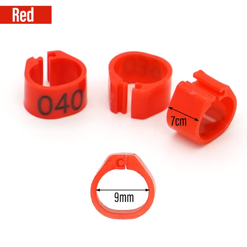 100 Piezas Nuevos Anillos para Patas de Paloma Identificar Bandas para Palomas 8 mm Clip de Plástico para Loro Anillo Digital para Pie Suministro para Entrenamiento de Palomas Aparatos para Pájaros
