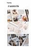 Hanin MT53 Mini Bluetooth Portable Color ID Photo Printer
