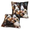 Guinea Pigs 2 Pcs Square Pillowcase Pillow Cover Cushion Zip Decorative Comfort Throw Pillow For Home Bedroom