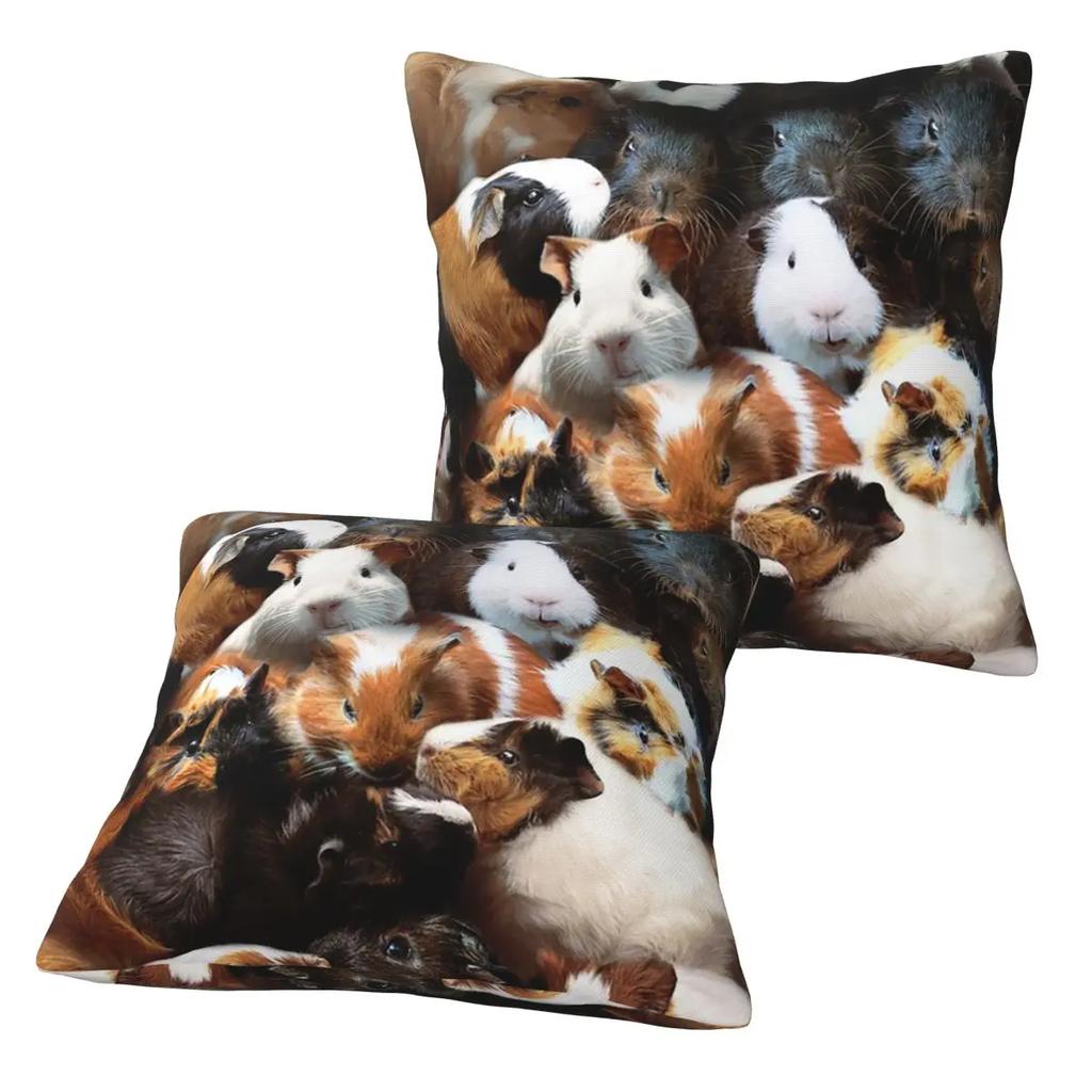 Guinea Pigs 2 Pcs Square Pillowcase Pillow Cover Cushion Zip Decorative Comfort Throw Pillow For Home Bedroom