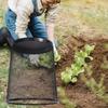Maschendraht Pflanzenschutz Schwerlast Pflanzenschutz vor Tieren Windbeständig Langlebige Barriere Schutzkäfig für Blume