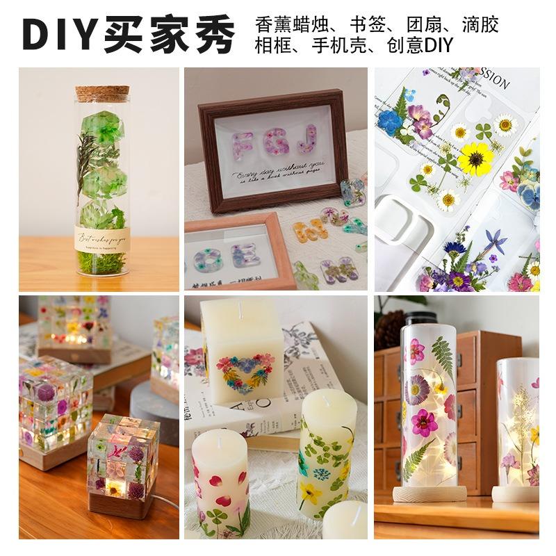 Natural Dried Flowers Pack For Diy Resin Pressed Flower Art