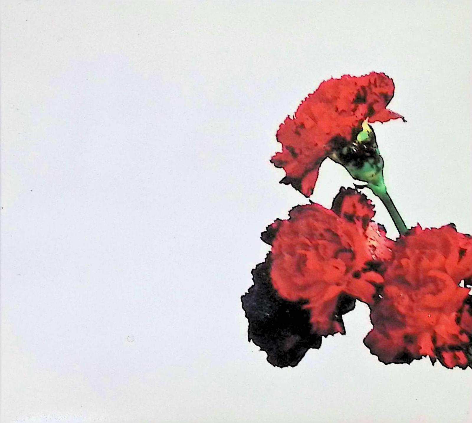 

[USED] Love in the Future (Paper case specification) / John Legend (CD)