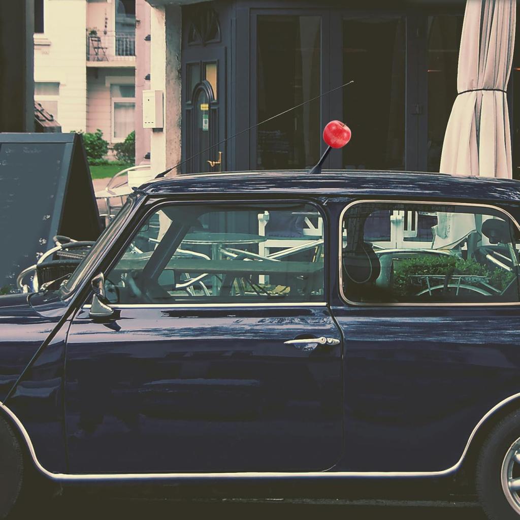 GLEAVI Apple Shape Car Antenna Topper Cute Decoration Fruit Ball Car Roof Universal Car Antenna Topper for Most Vehicles