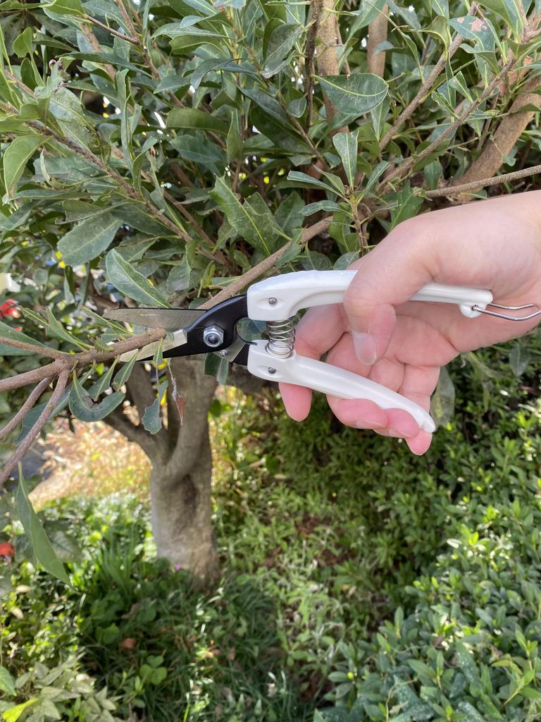 Ars Corporation Ars Family Lightweight and Compact Flower and Garden Black 140B Shears,