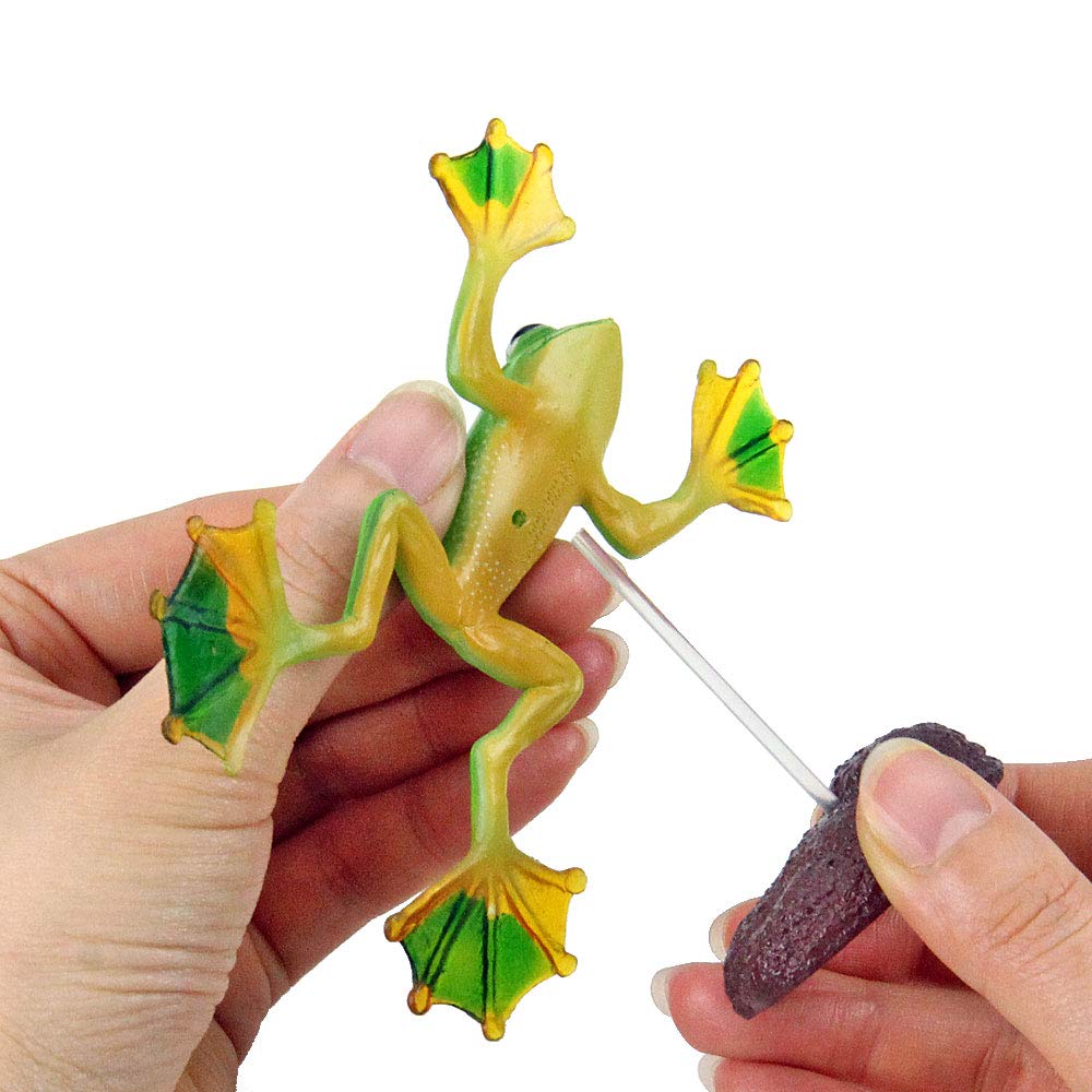 Calorata Frog 3D Encyclopedia Frogs with Realistic Figures Birthday Gift Sanitation Law Figure Box Christmas Gift (16 Instructions) (Educational Toys)