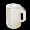Tiger Electric Kettle
