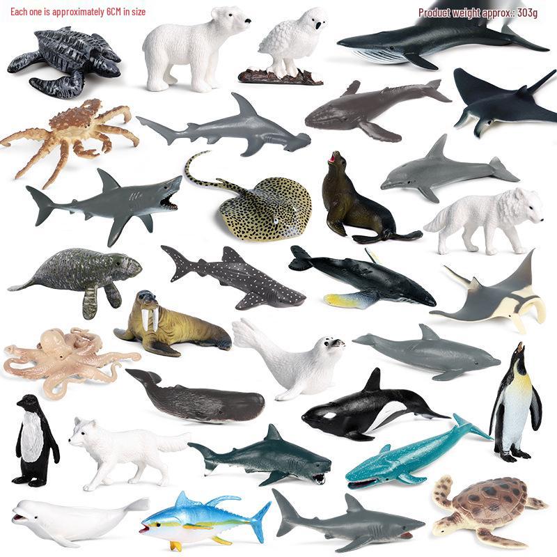 Children's Cognitive Marine Animal Models: Sea Turtle and Tortoise Toys