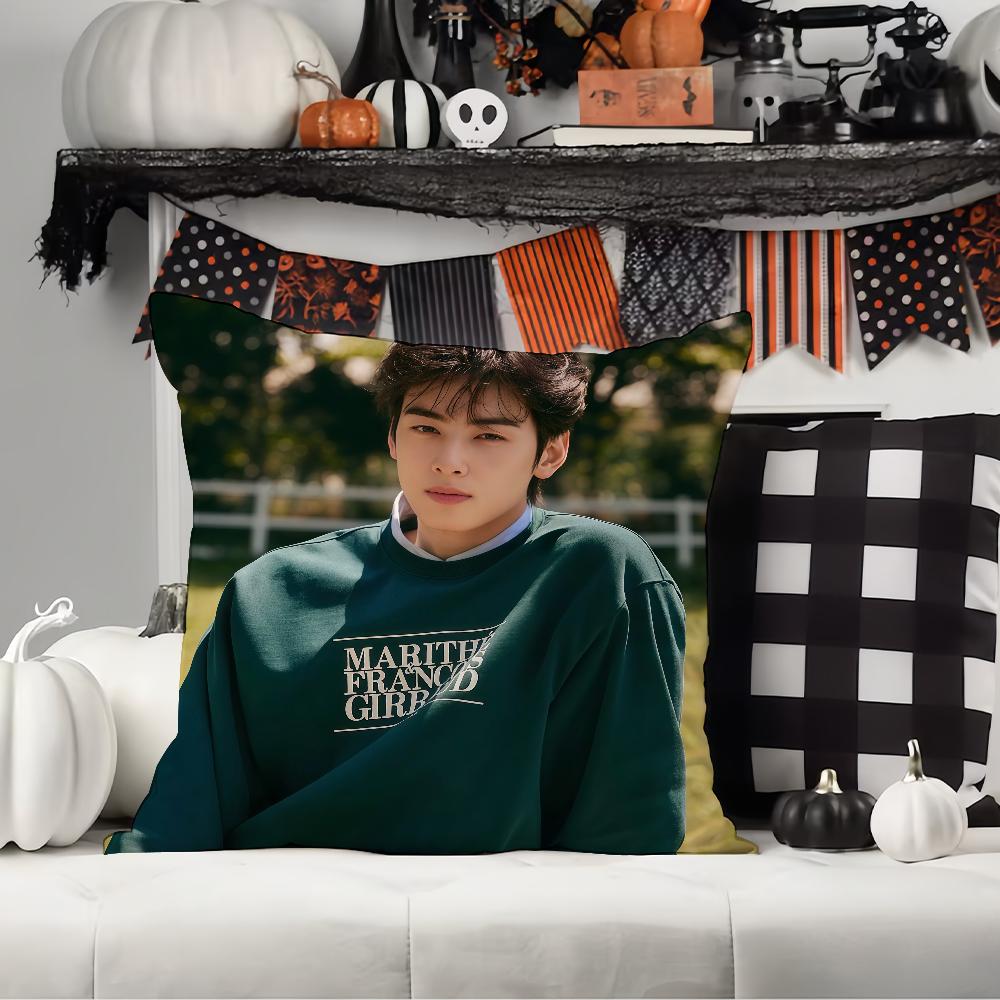 Korean Singer C-Cha E-Eun-W-Woo Pillow Case Office Cushions Suitable For Sofa Car Bedroom Decorative Cushion Cover