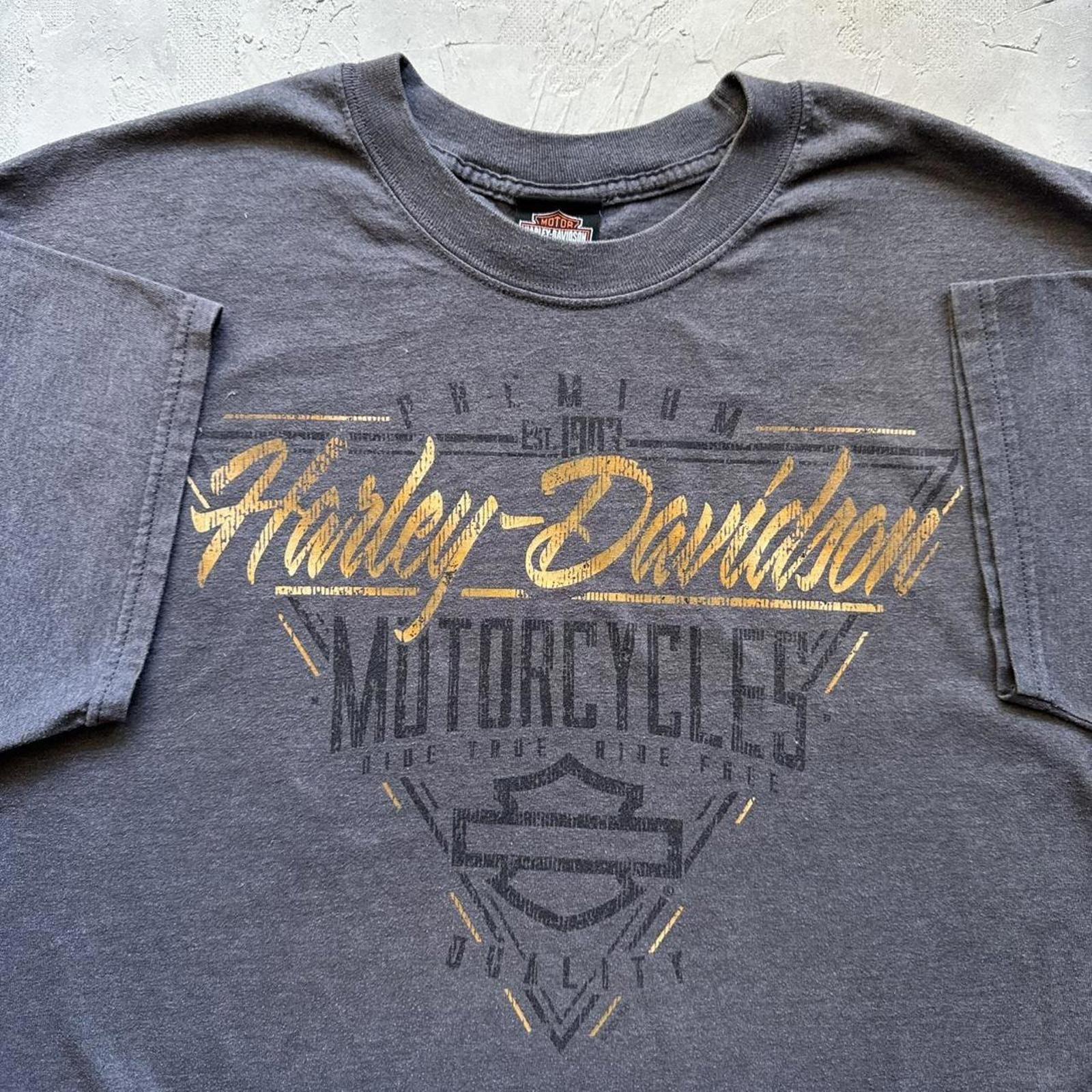 Vintage Y2K Grey Harley Davidson Grey Biker Chick Pinup Graphic T Shirt Unisex T-Shirt XXXXL