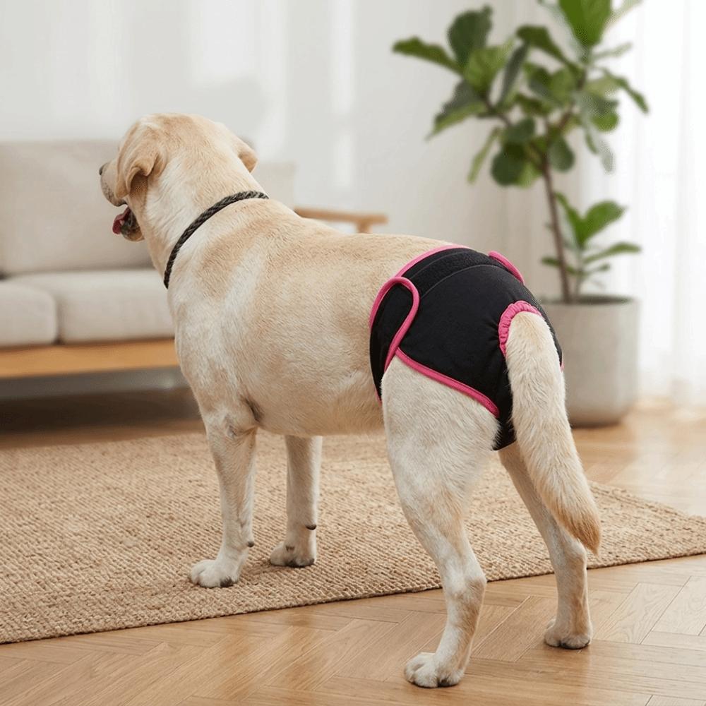Soft Fabric Dog Sanitary Pant Adjustable Sticky Strap Pet Period Underwear  Dog Estrus