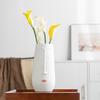 Face Large Diameter Flower Insert Creative Ceramic Vase High-End Ornament Home Desktop Simple Decoration