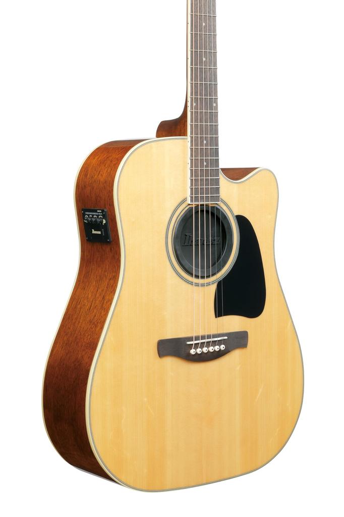 IBANEZ Sound Hole Cover Acoustic/Electric ISC1