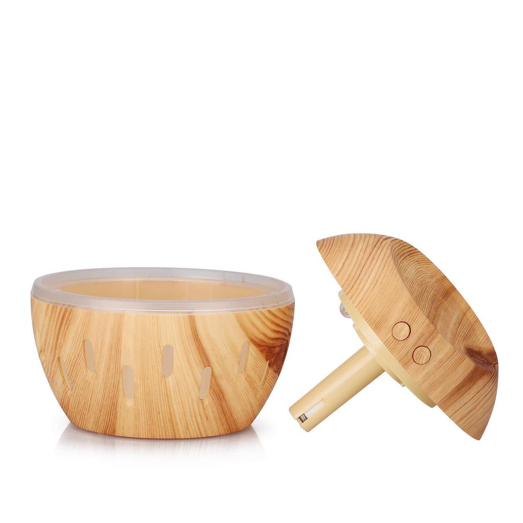 USB Rechargeable Indoor Air Purifier & Humidifier Atomizer