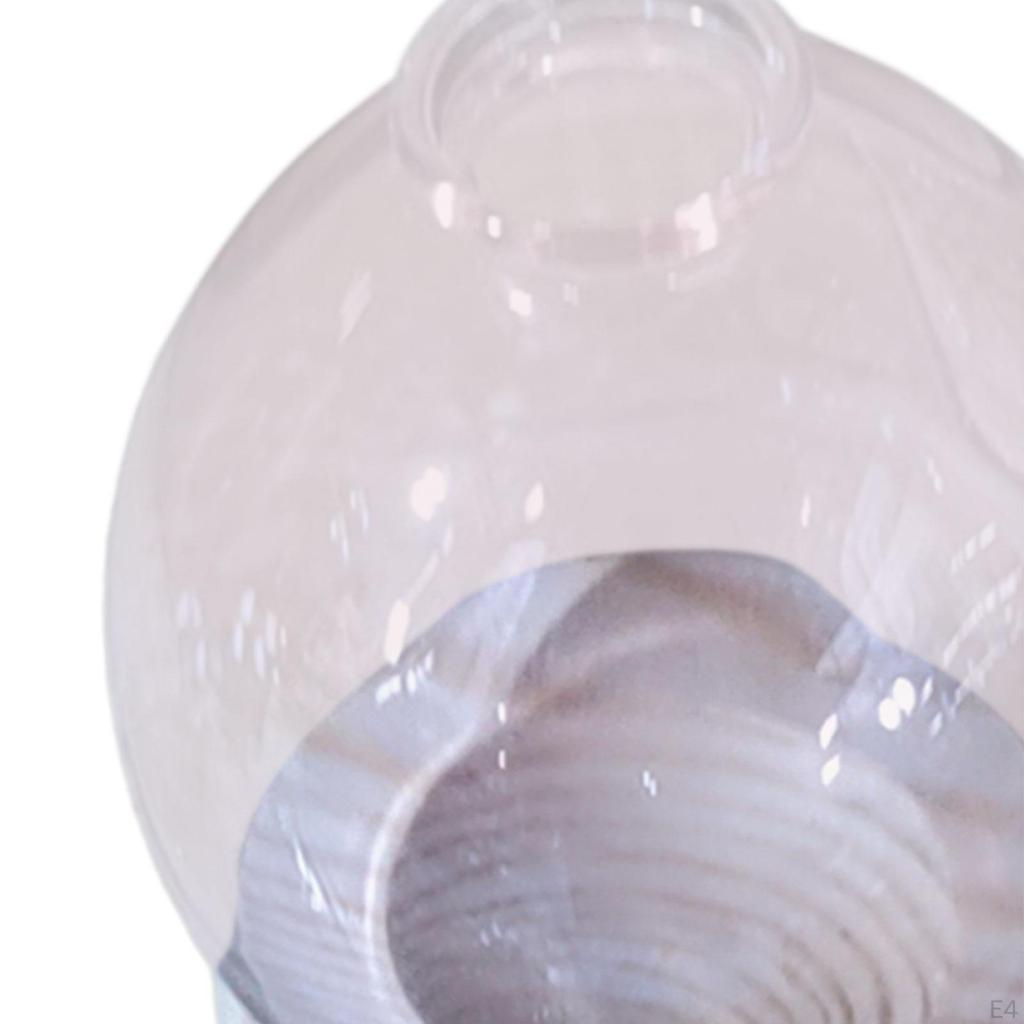 Hydroponic Plant Pot Bud Vase Home Desk Flowerpot Desktop Glass Planter for