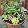 Breathable Plant Pot Half Round Succulent Plant Flowerpot Plant Hanging Basket  Garden Decoration