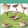 Statue Garden Resin Decor Statue Animals Stake Farm
