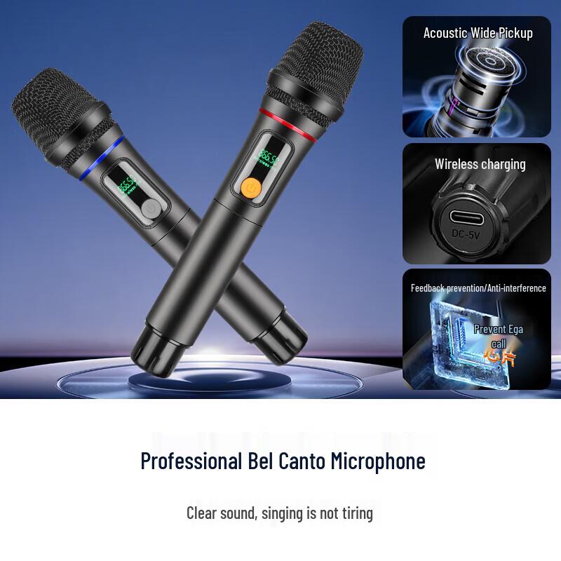 SAST Portable KTV Karaoke Speaker System with Display CN plug (adapter included) (CN version)