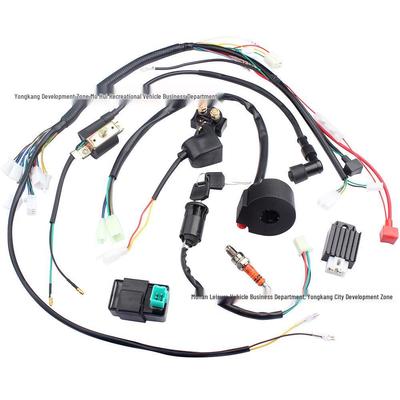 ATV & Off-road Motorcycle Wiring Harness for 50-125CC with CDI Ignition & Starter Switch