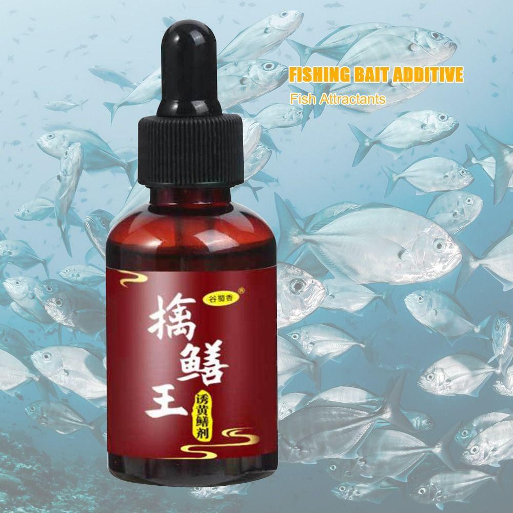 Supplies Eel lure Scent Fish Attractants 2024 Fishing Bait Additive