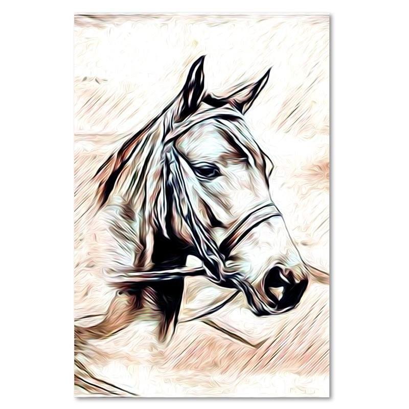 Canvas Print Horse Head Animal