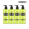 All Day Smell Cover Youth Shampoo Lime Basil & Mandarin 400ml X4