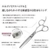 DEEDS GTZ Scissors and Thinning Shears Set by Japanese Scissors Professional Hairdressing Scissors [PF] (6.0 Inches) (6.0 Inches) Manufacturer,