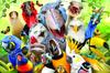 Yamasan Prime 3D Howard Robinson Bird Selfie 21060 Finished 46 X 31 Cm 150 Pieces Size /