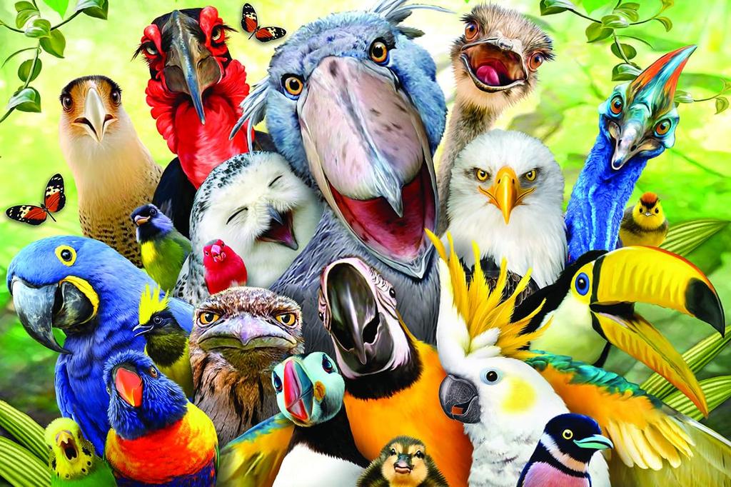 Yamasan Prime 3D Howard Robinson Bird Selfie 21060 Finished 46 X 31 Cm 150 Pieces Size /