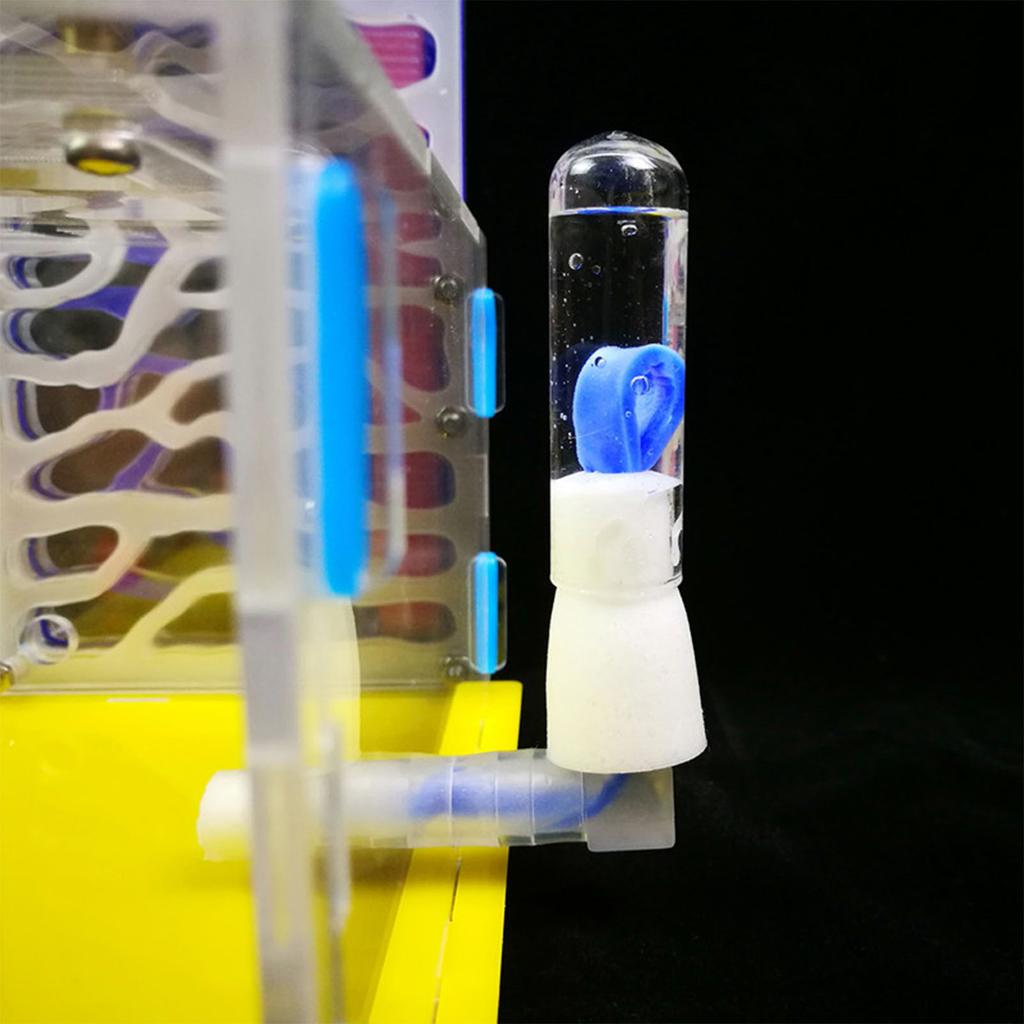 DIY T Design Futterbereich Acryl Farm Insektenvilla Mania Haus Ameisennest Geburtstagsgeschenk