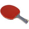 DHS Wang Hao Signature Table Tennis Racket