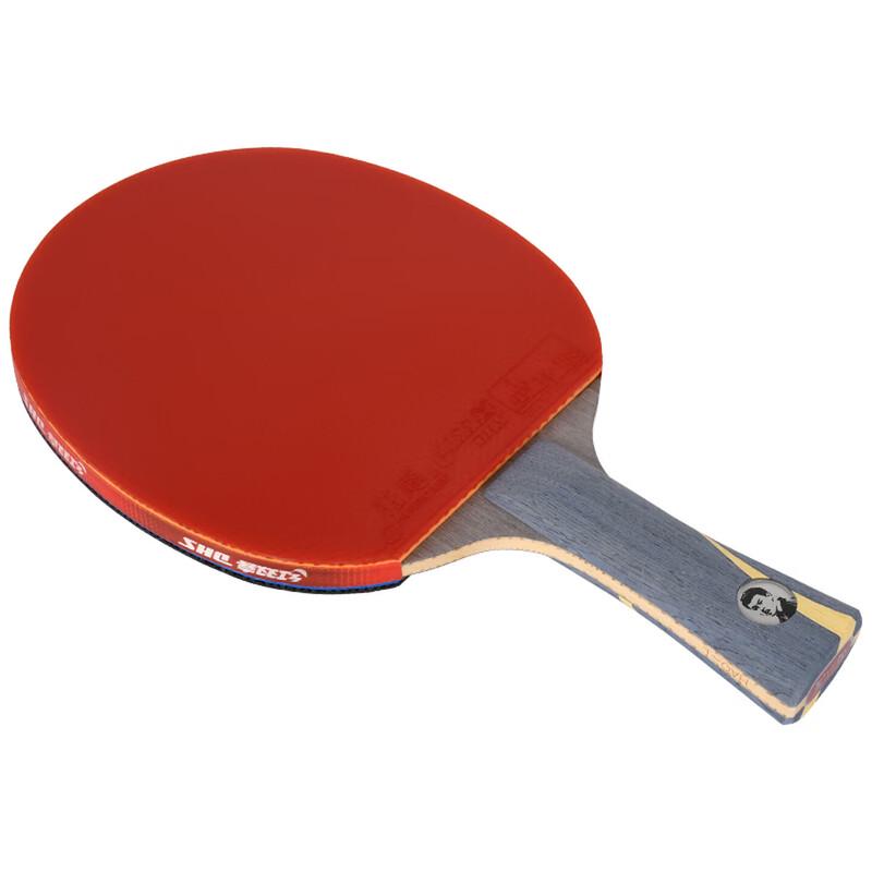 DHS Wang Hao Signature Table Tennis Racket