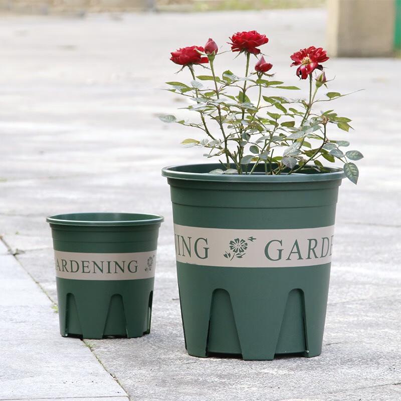 Liliang Breathable Plastic Root Control Flower Pot