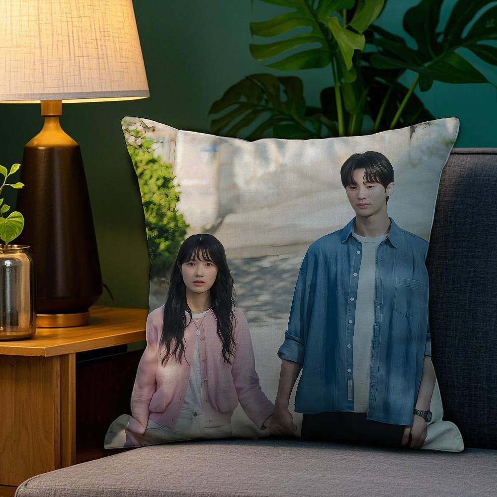 Tv Series L-Lovely R-Runners Pillow Case Anti-Dustmite Pillowcase Invisible Zipper Silky Short Plush Sofa Cushion Cover
