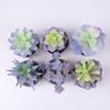 Home Decoration Simulation Succulent Plant Cement Bonsai, Fake Succulent Potted Plant, Mini Simulation Succulent Potted Plant
