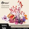 Balık & Akvaryum Hayvanları – Akvaryum dekorasyonları