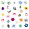 100Pcs Beautiful Flower Stickers Cute Cartoon Decal DIY Refrigerator Phone Suitcase Notebook Removable Stickers