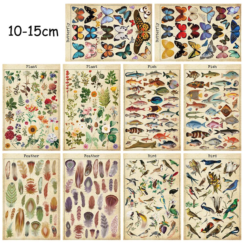 

10PCS Vintage Natural Card Posters Sticker DIY Photography Room Cartoon Art Picture Props Collocation Decorative Desk Stickers