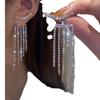 925 Silver Needle Long Tassel Earrings for Women - Korean Style, High-End, Popular and Versatile