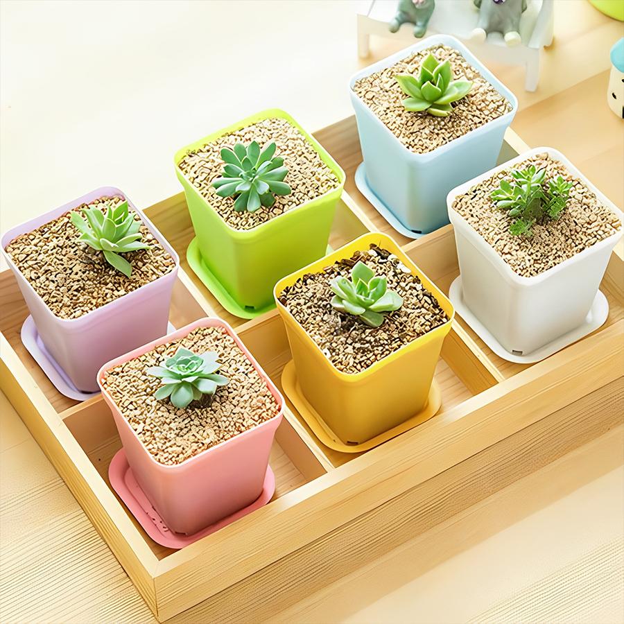 12/24pcs Colorful Square Flower Pot with Tray Flower Beds Garden Nurseries Plastic Flowerpot for Office Indoor Outdoor Decor XJM