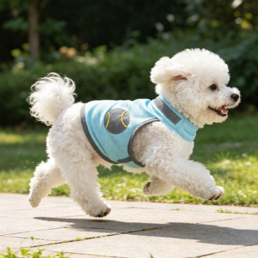 Atmungsaktive Netz-Hunde-Kühlweste Reflektierendes Sommer-Hunde-T-Shirt Hitzschlag-Prävention