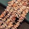 1 Strand Natural Cowrie Conch Shell Irregular Stick Beads 5×25mm 38cm Natural Red Stripe Sea Shell Loose Beads For DIY Necklace Jewelry
