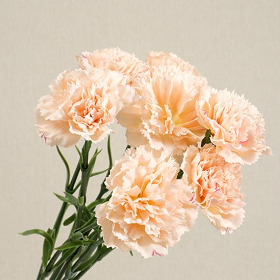 Artificial Carnation Realistic Fake Silk Flower Stem Wedding Party Indoor Outdoor Faux Flower Decoration Mother's Day Teachers' Day Gift