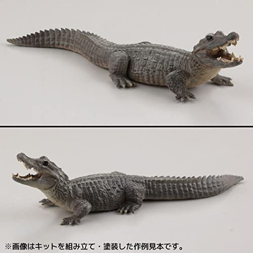 Kaiyodo ART PLA Zookeeper and White Rhino Set, Unpainted and Unassembled Plastic Model Kit AP006